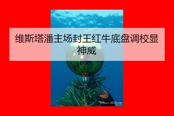 wei-si-ta-pan-zhu-chang-feng-wang-hong-niu-di-pan-diao-xiao-xian-shen-wei-3-577.jpg