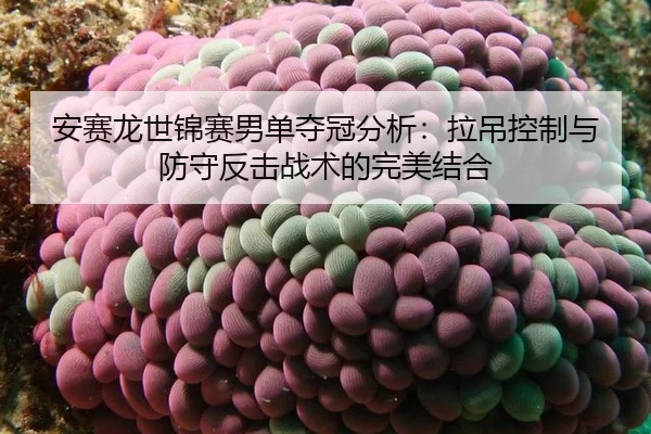 an-sai-long-shi-jin-sai-nan-dan-duo-guan-fen-xi-la-diao-kong-zhi-yu-fang-shou-fan-ji-zhan-shu-de-wan-mei-jie-he-3-547.jpg